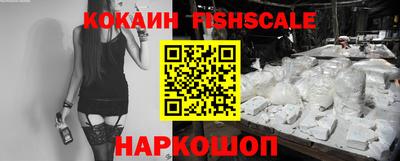 тгк Камышлов