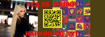 тгк Камышлов