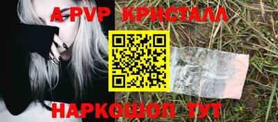 тгк Камышлов