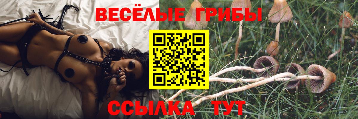 Псилоцибиновые грибы Psilocybine cubensis  Вход с VPN  Псилоцибиновые грибы мицелий  Краснокаменск 