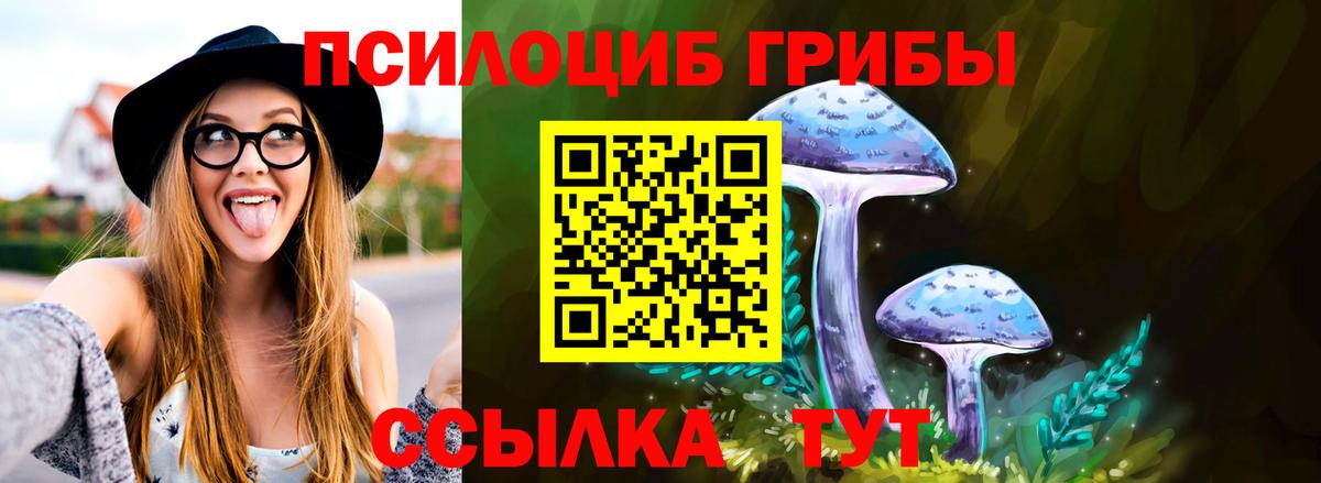 Псилоцибиновые грибы Psilocybe Краснокаменск